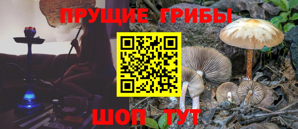 Псилоцибиновые грибы ЛСД  Галлюциногенные грибы ЛСД  Тольятти 